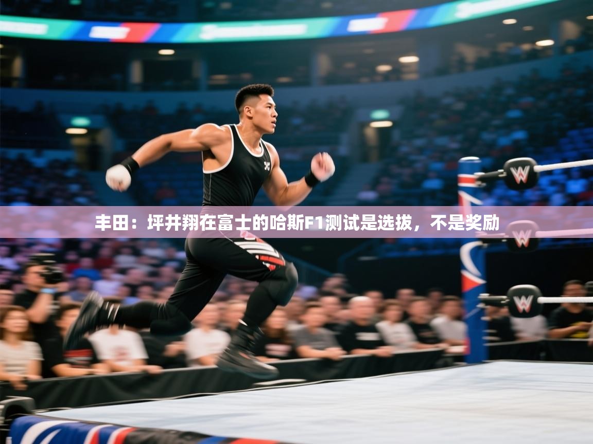 开云体育极速下载镜像-丰田：坪井翔在富士的哈斯F1测试是选拔，不是奖励  第3张