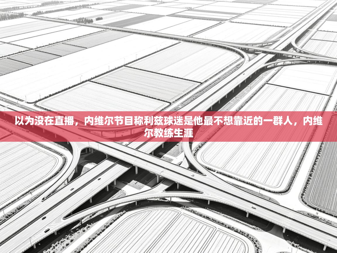开云体育app下载链接-以为没在直播,内维尔节目称利兹球迷是他最不想靠近的一群人,内维尔教练生涯 第2张
