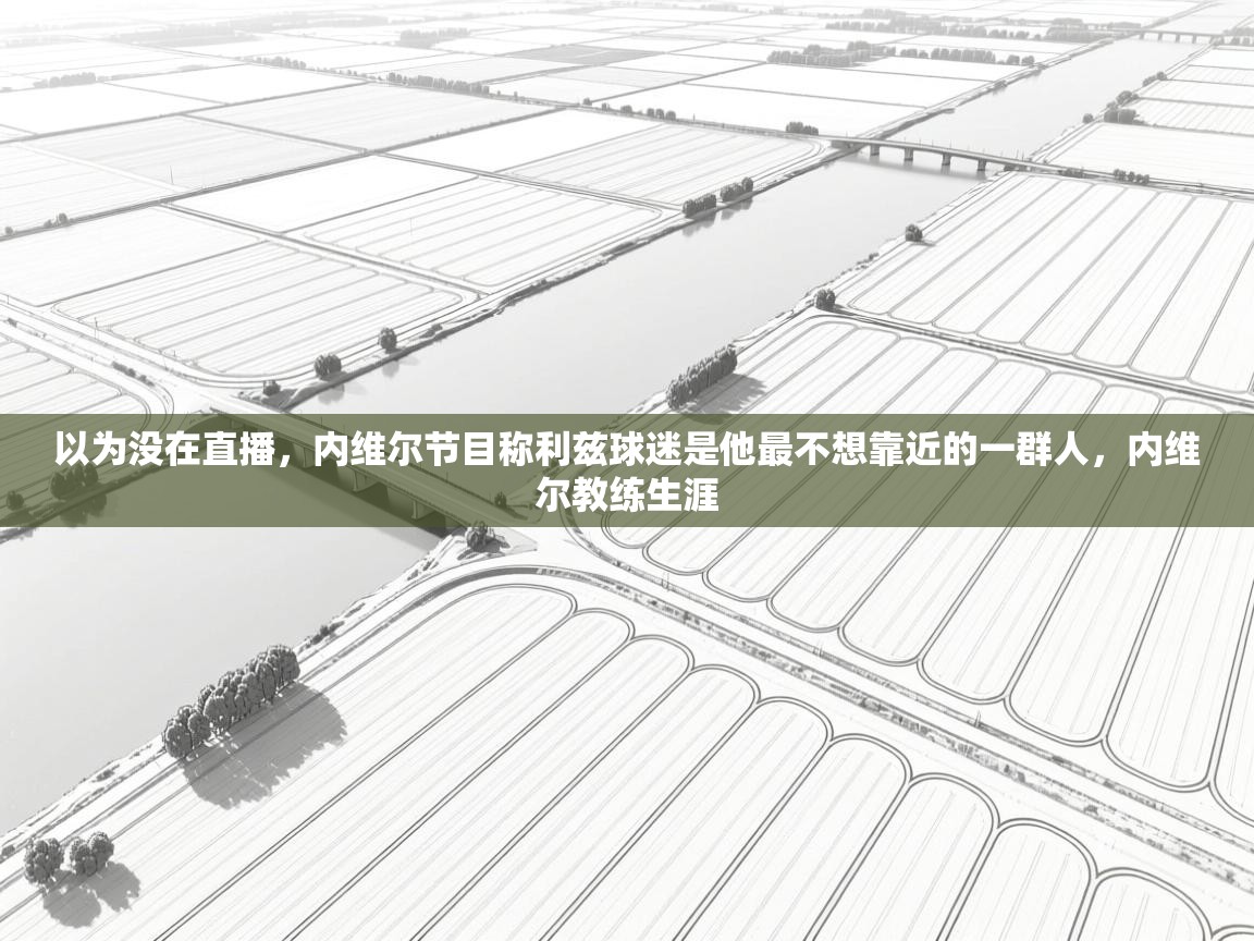 开云体育app下载链接-以为没在直播,内维尔节目称利兹球迷是他最不想靠近的一群人,内维尔教练生涯 第4张