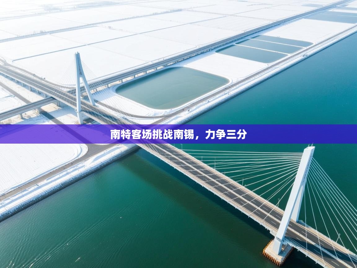开云体育客服在线咨询-南特客场挑战南锡，力争三分  第1张