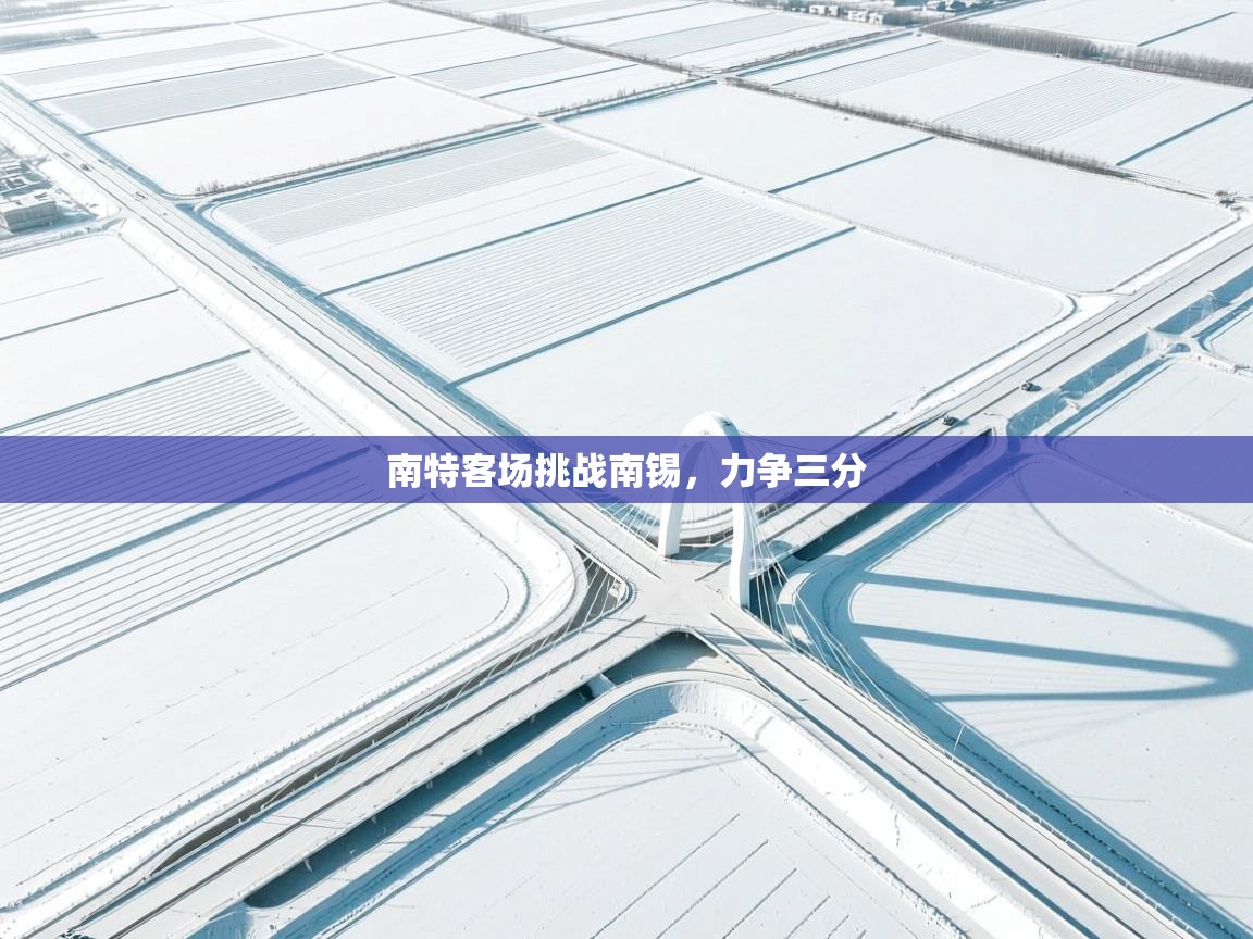 开云体育客服在线咨询-南特客场挑战南锡，力争三分  第3张
