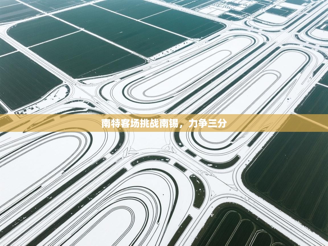 开云体育客服在线咨询-南特客场挑战南锡，力争三分  第4张