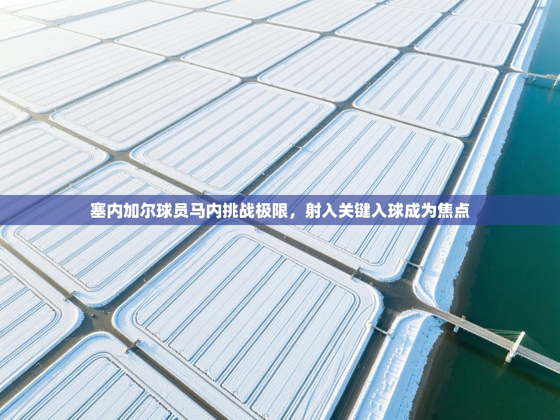 云开体育app登录入口-塞内加尔球员马内挑战极限，射入关键入球成为焦点  第1张