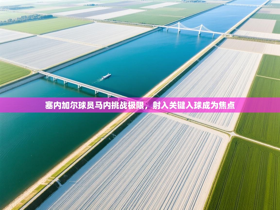 云开体育app登录入口-塞内加尔球员马内挑战极限，射入关键入球成为焦点  第2张