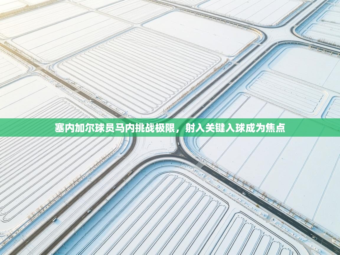 云开体育app登录入口-塞内加尔球员马内挑战极限，射入关键入球成为焦点  第3张